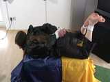 Get 3 classic archive videos with Katharina bound and gagged in shiny nylon rainwear 5