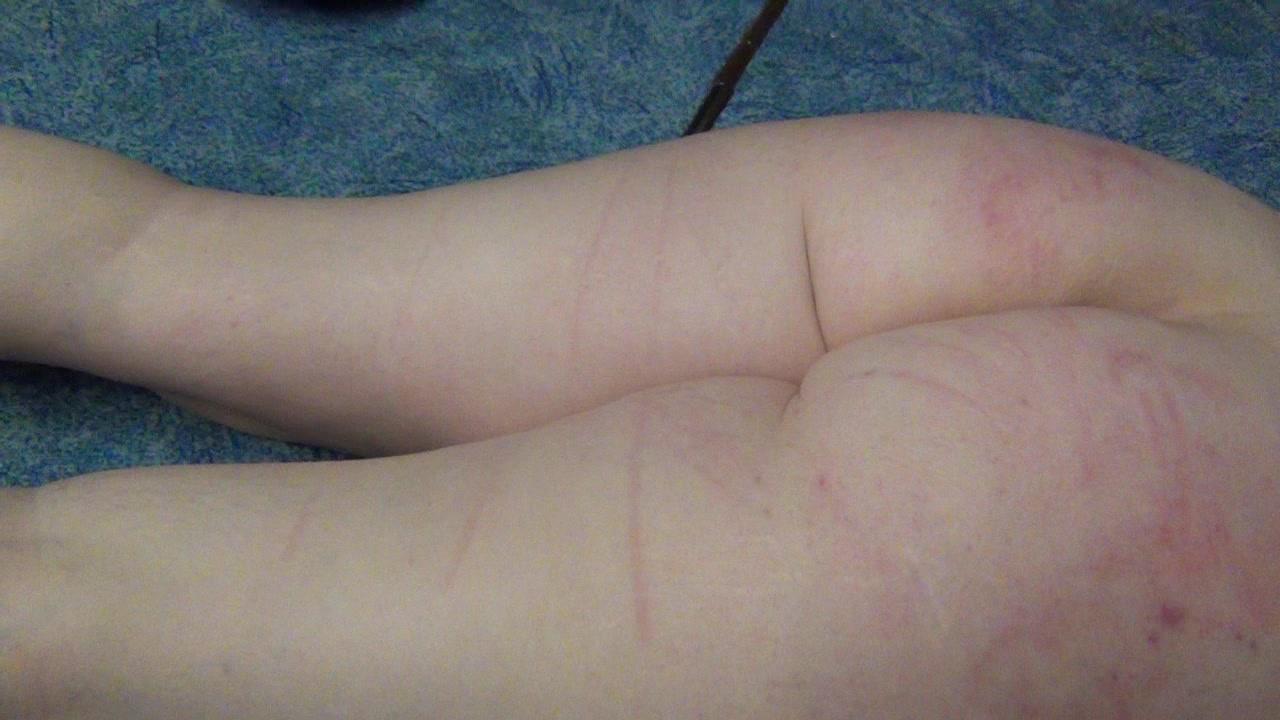 Jadirs Education - Punishment and Balance Training