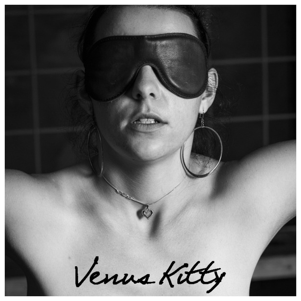 Venus Kitty